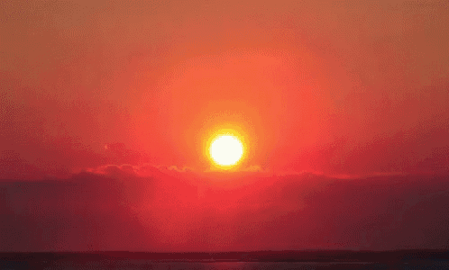 Words I Love Pt. 18:&nbsp;Contronym